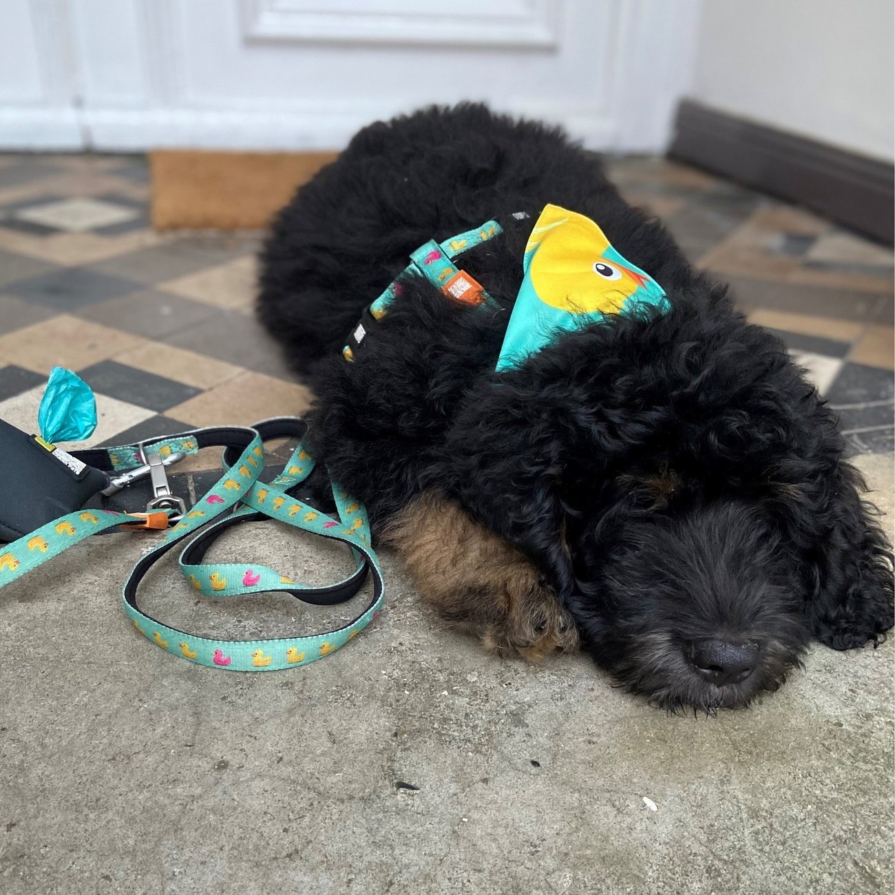 Max & Molly Original Multifunktionsleine Ducklings Bild 3