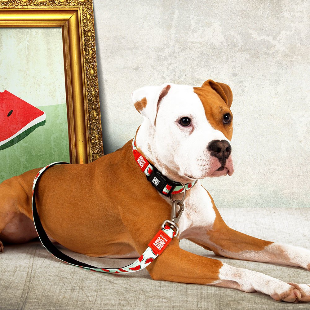 Max & Molly Original Multifunktionsleine Watermelon Bild 2