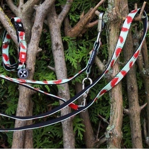 Max & Molly Original Multifunktionsleine Watermelon Bild 4