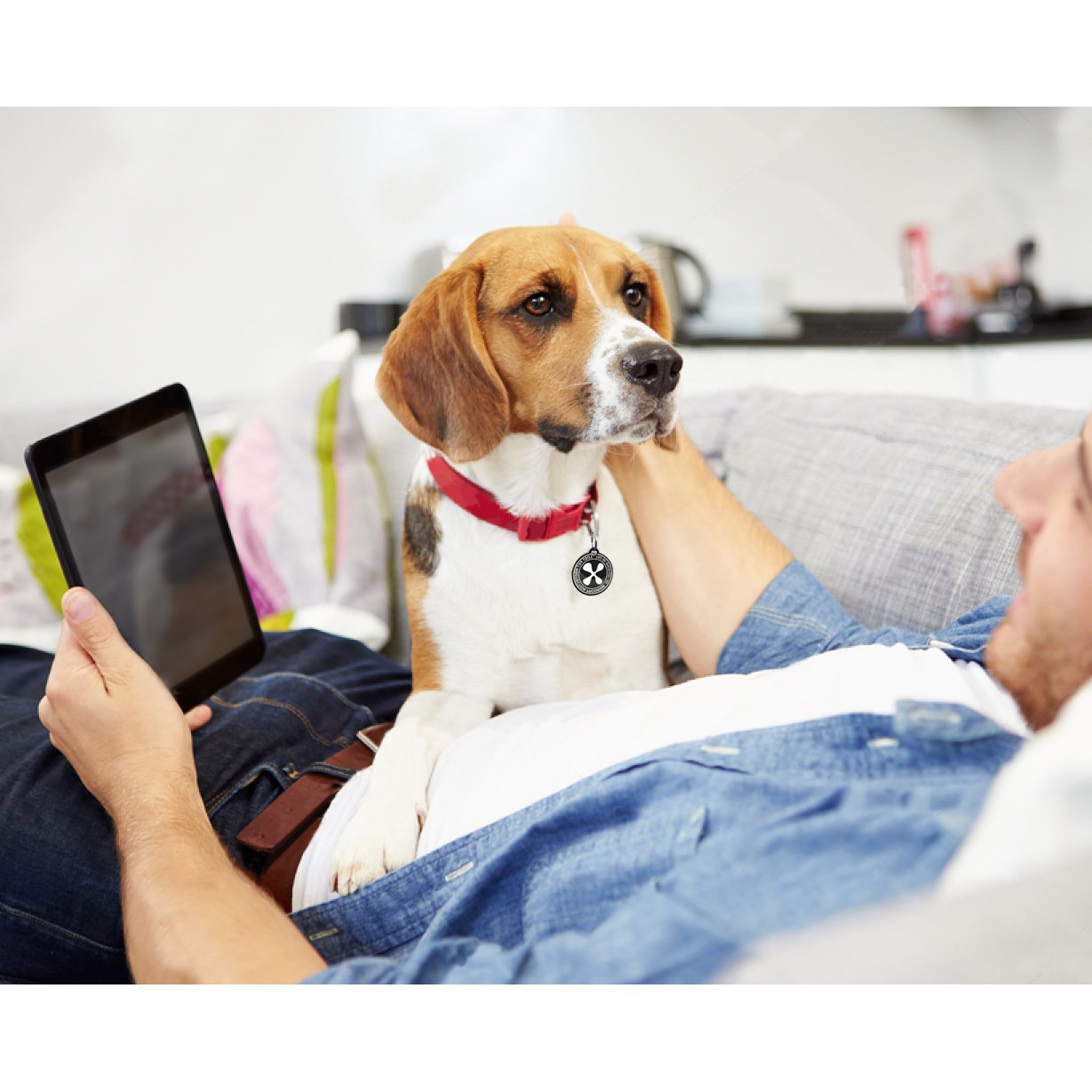 Max & Molly Pure Smart ID Hundehalsband Bild 2