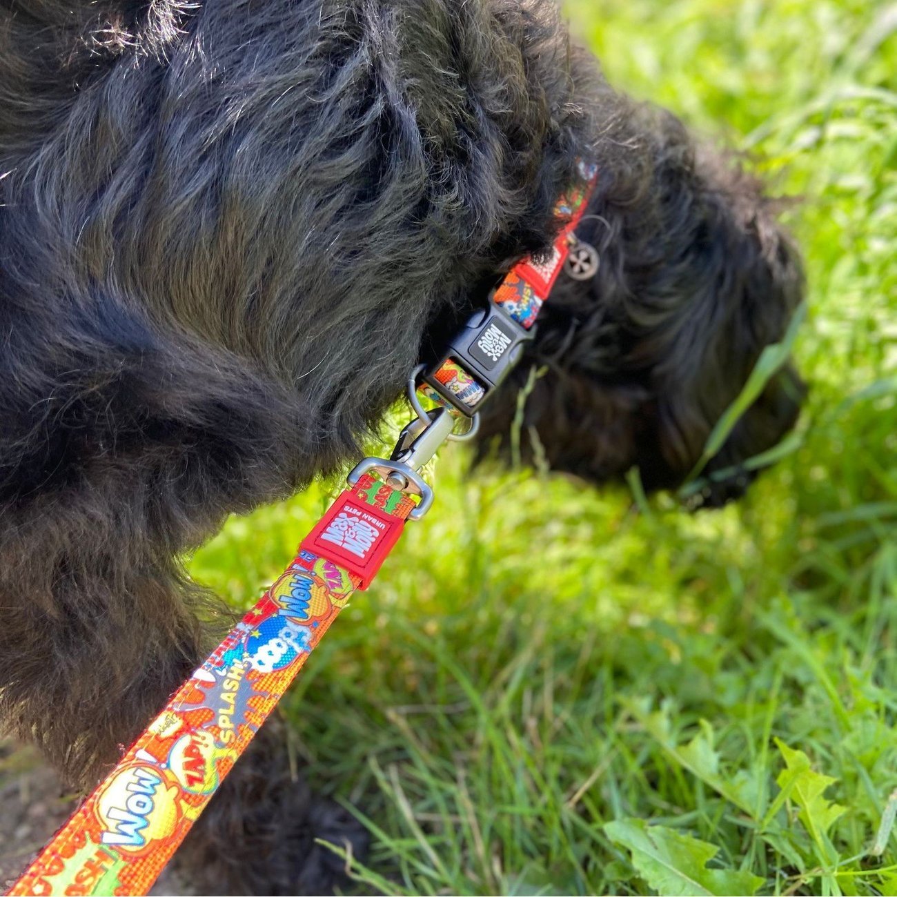 Max & Molly Smart ID Hundehalsband Heroes Bild 4