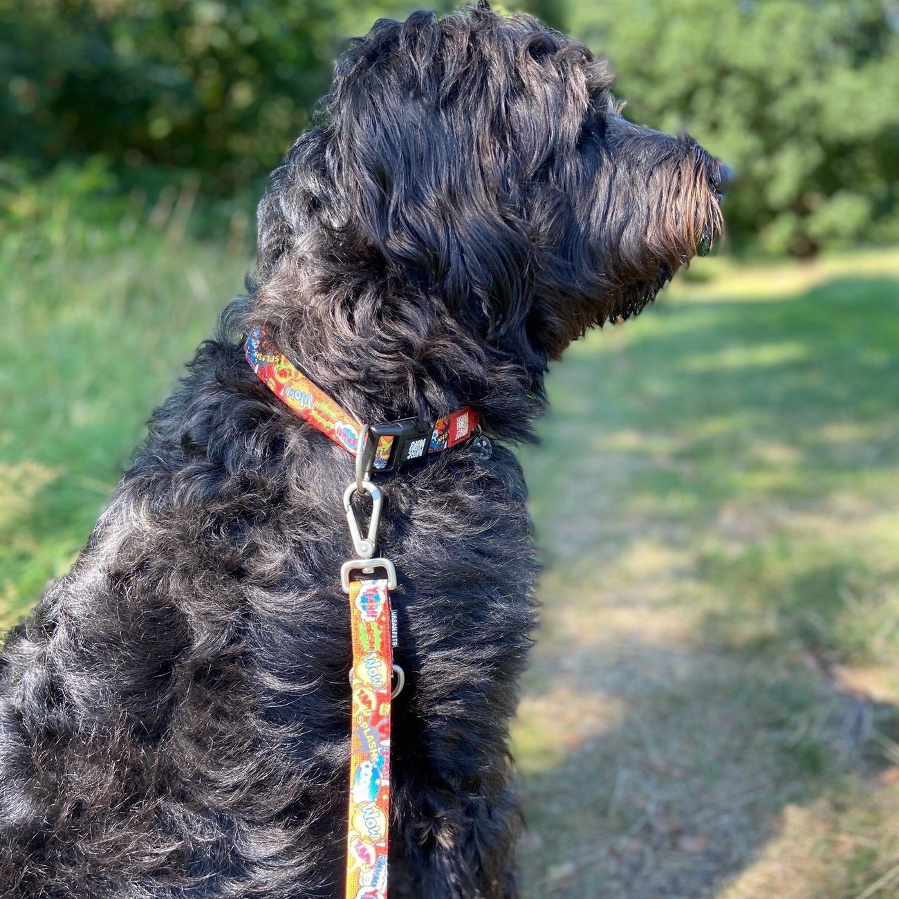 Max & Molly Smart ID Hundehalsband Heroes Bild 2