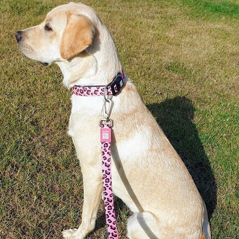 Max & Molly Smart ID Hundehalsband Leopard Pink Bild 3