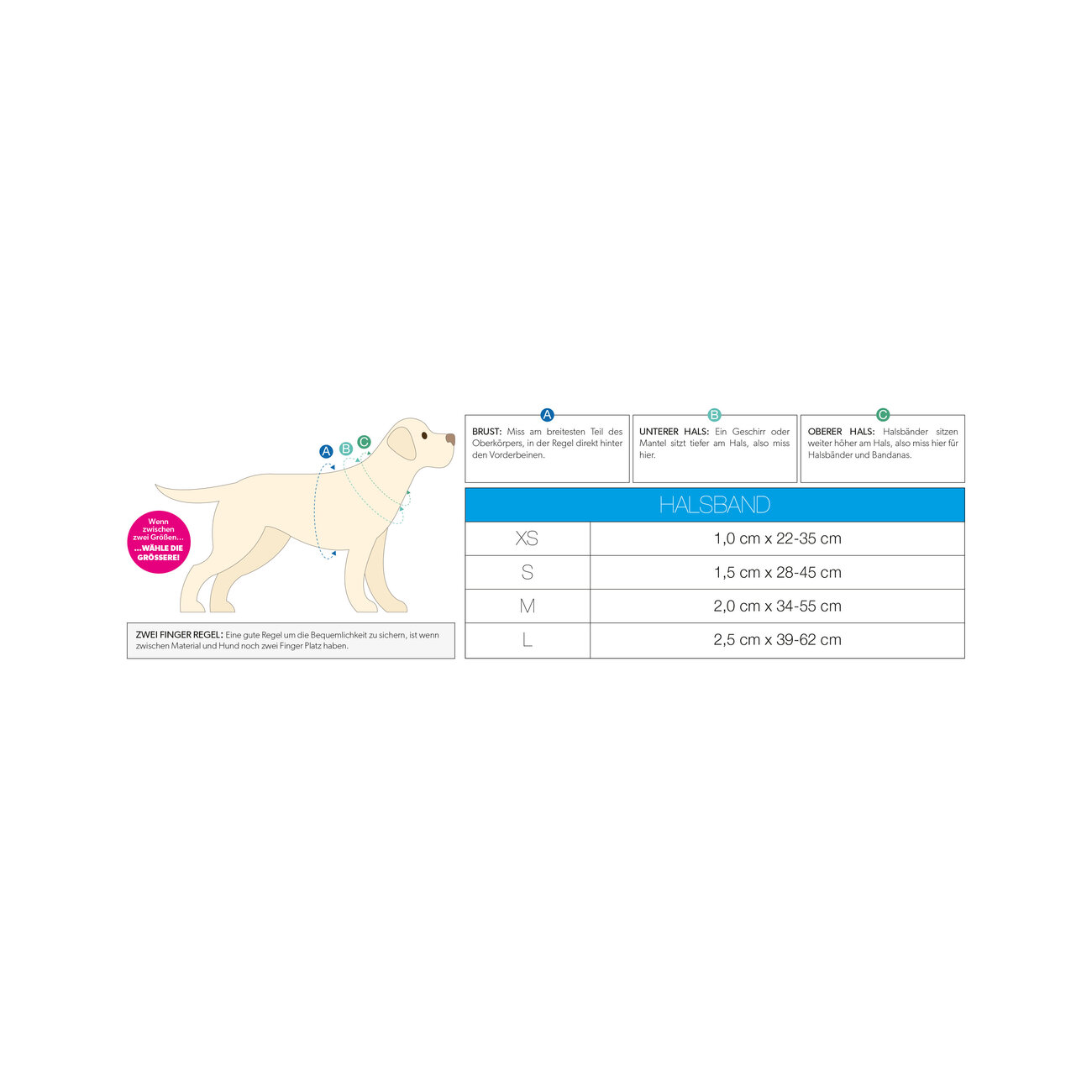 Smart ID Hundehalsband  Matrix 2.0 rose Bild 6