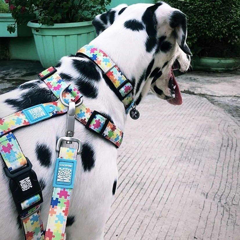 Max & Molly Smart ID Hundehalsband Puzzle Bild 2