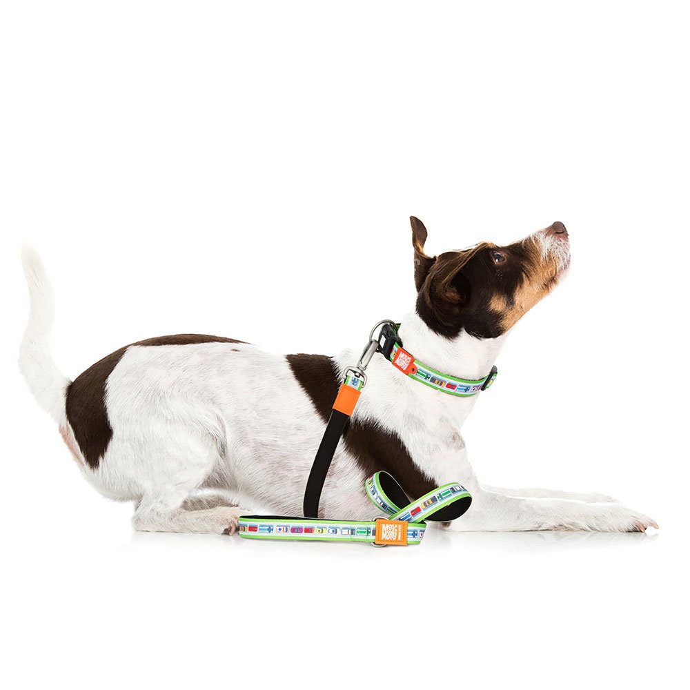 Max & Molly Smart ID Hundehalsband Traffic Jam Bild 2