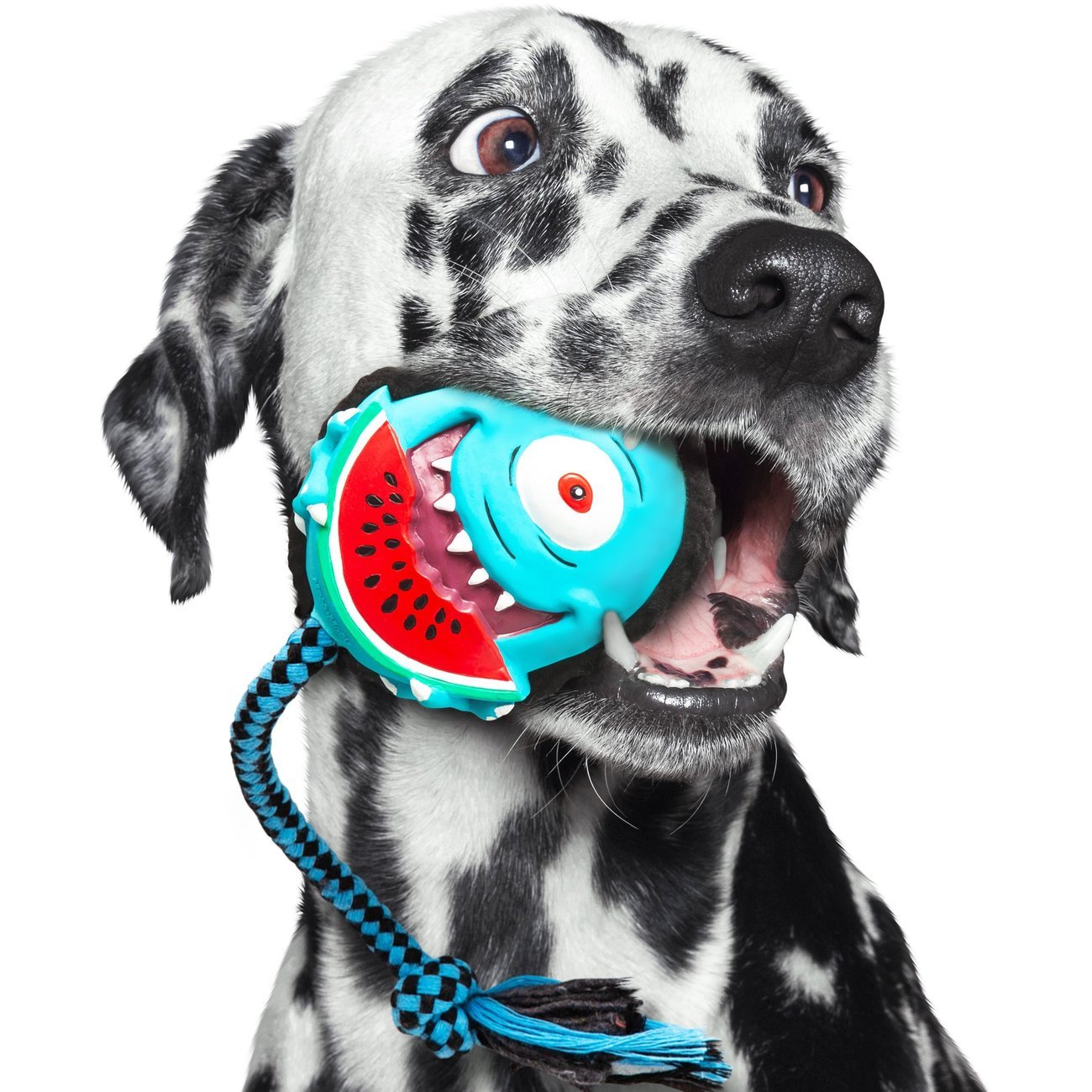 Snuggles Hundespielzeug Bild 2