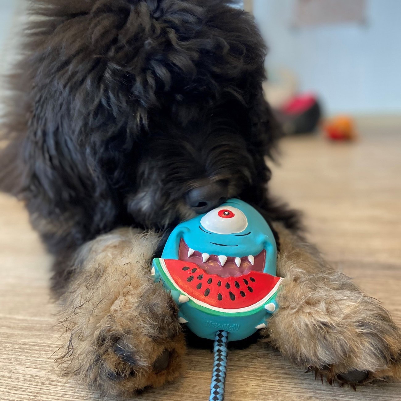 Snuggles Hundespielzeug Bild 18