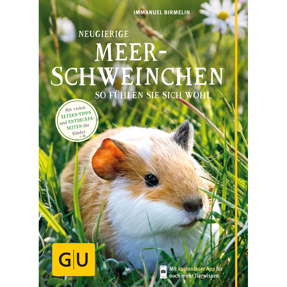 Meerschweinchen - So fühlen Sie sich wohl Bild 1