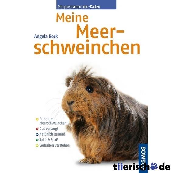 Meine Meerschweinchen, Buch Bild 1