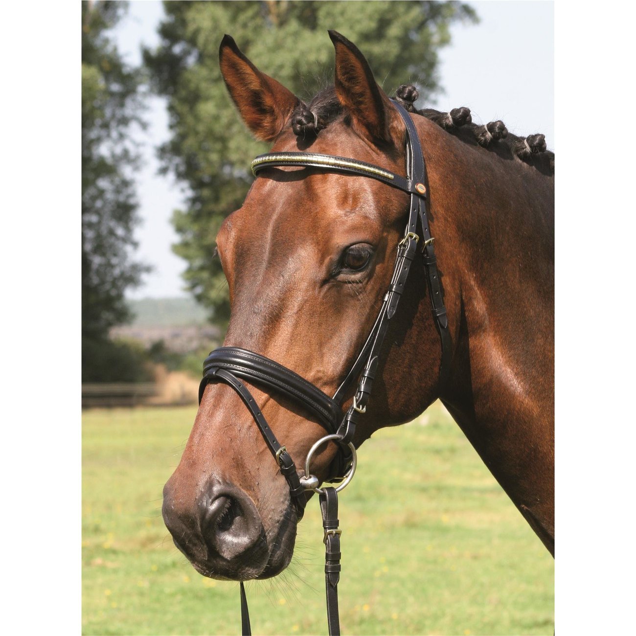 Hans Melzer Trense Bredeneek Messingstirnband Bild 10