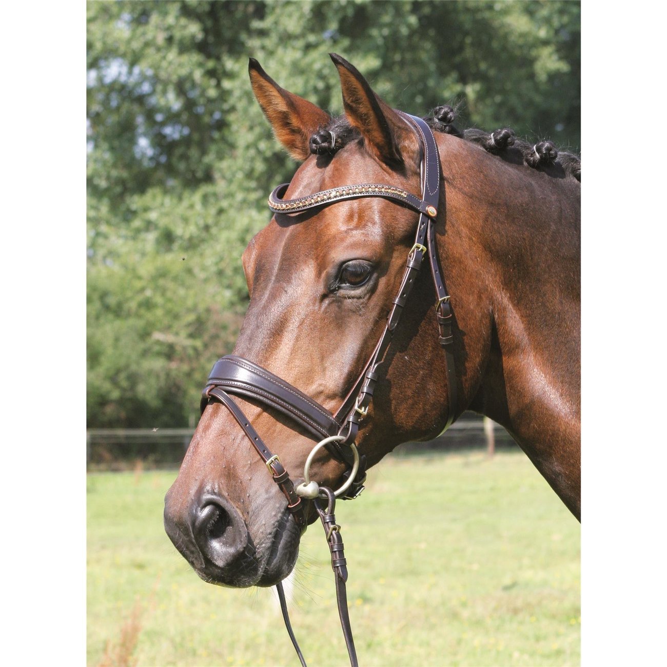 Hans Melzer Trense Hannover breiter Nasenriemen Bild 3