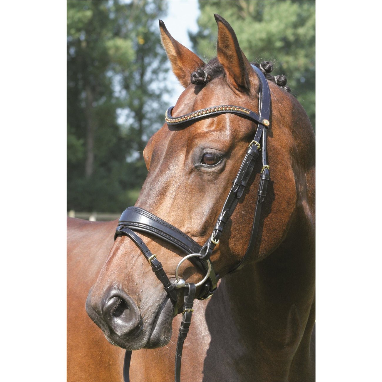 Hans Melzer Trense Hannover breiter Nasenriemen Bild 2