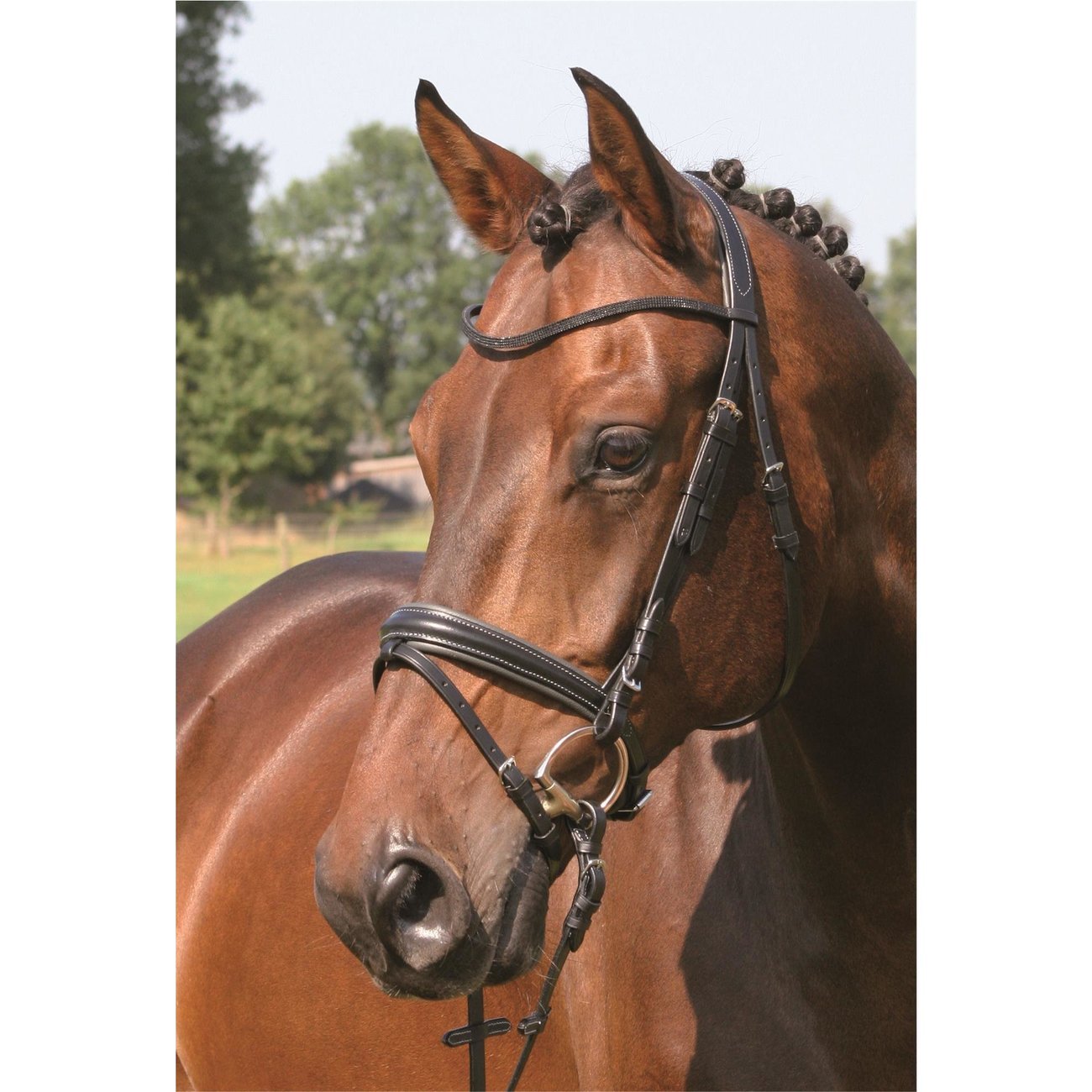 Hans Melzer Trense Pferd und Pony Liepe Bild 2