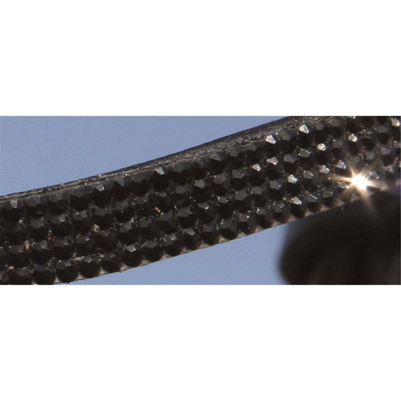 Hans Melzer Trense Pferd und Pony Liepe Bild 4