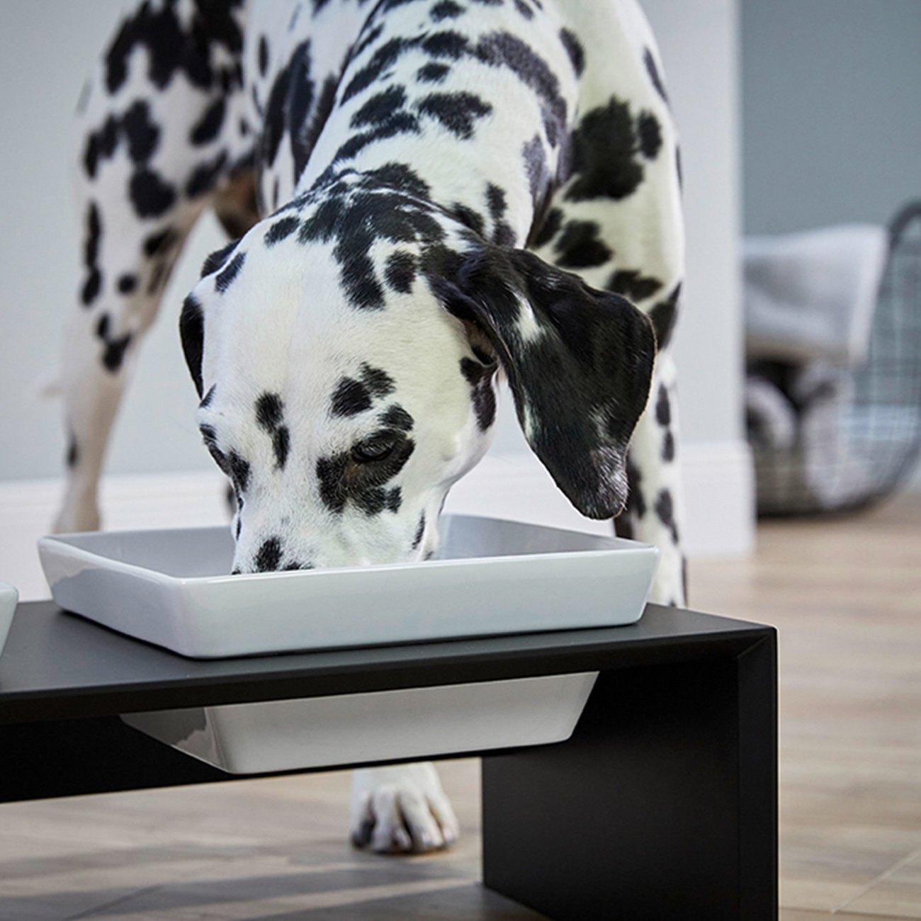 Meshidai Ersatznapf Bild 2