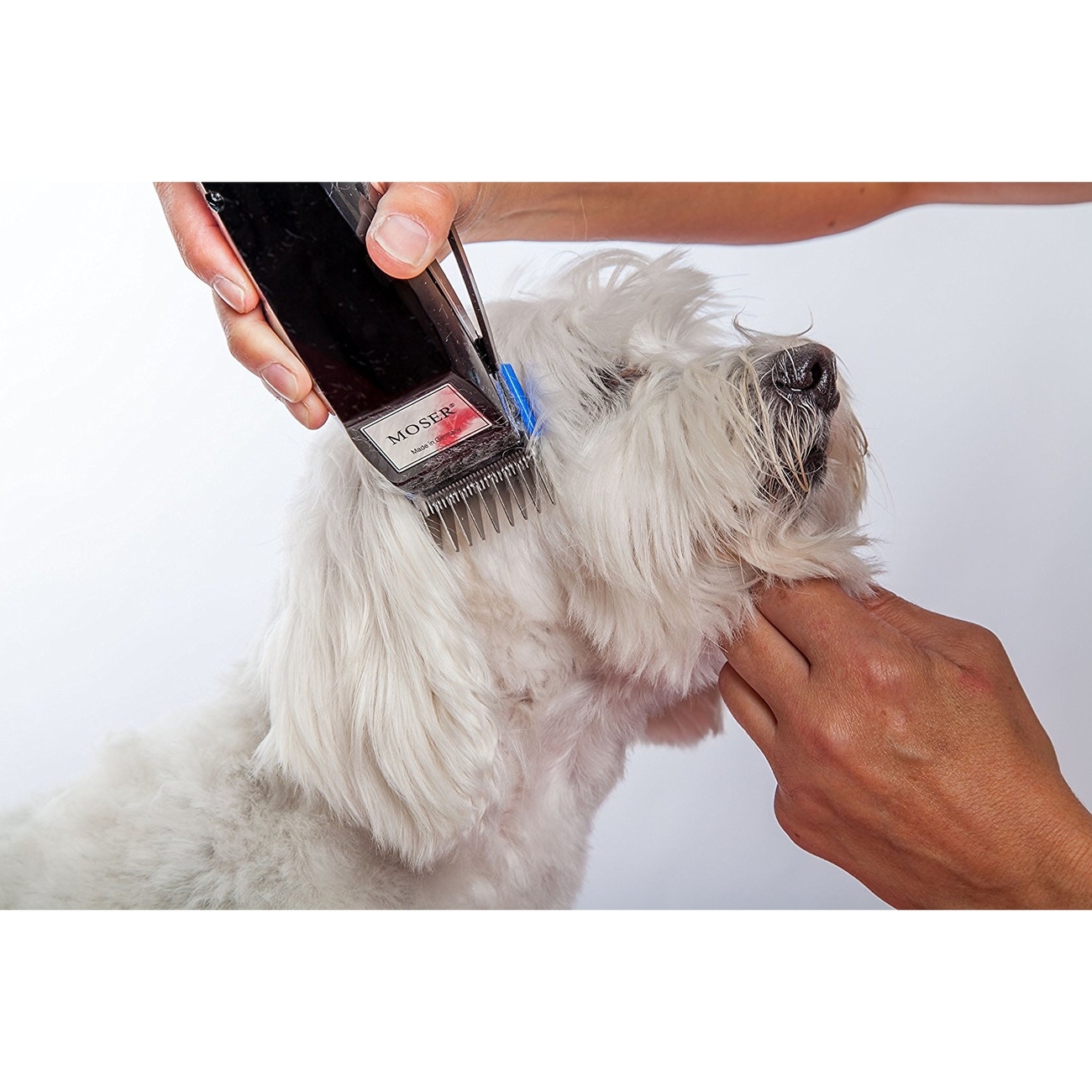 Moser Tierschermaschine Typ 1400 Animal Clipper-Set Bild 7