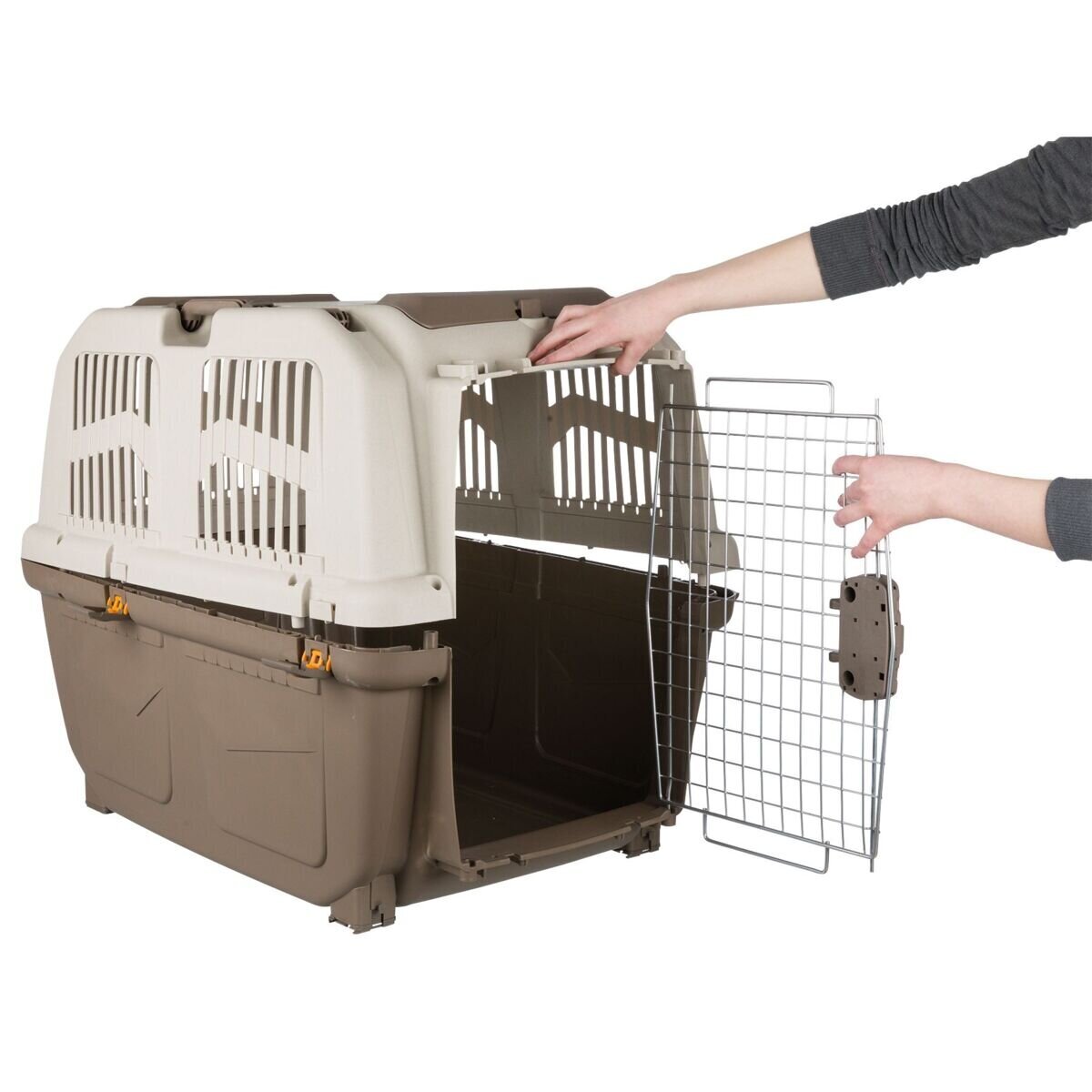 Hunde Transportbox Hundebox Skudo Bild 8