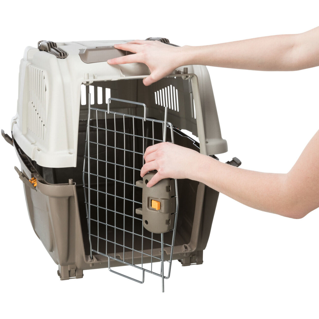 Hunde Transportbox Hundebox Skudo Bild 9