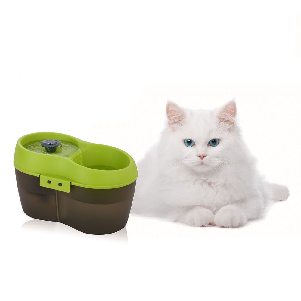 Katzentrinkbrunnen mit Zahnpflege Bild 3