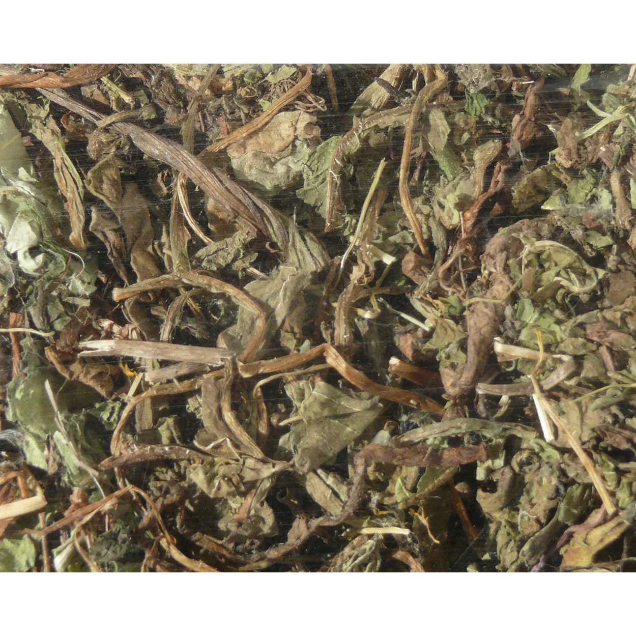 Nagertraum Löwenzahnblätter Bild 2