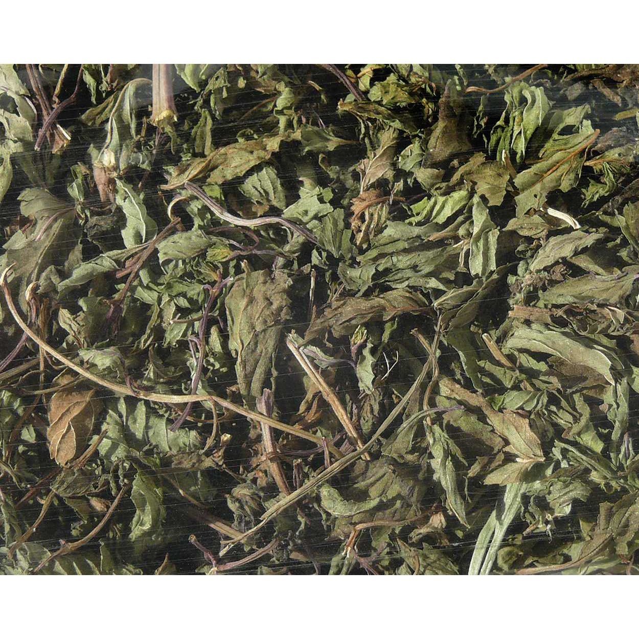 Nagertraum Pfefferminzblätter Bild 2