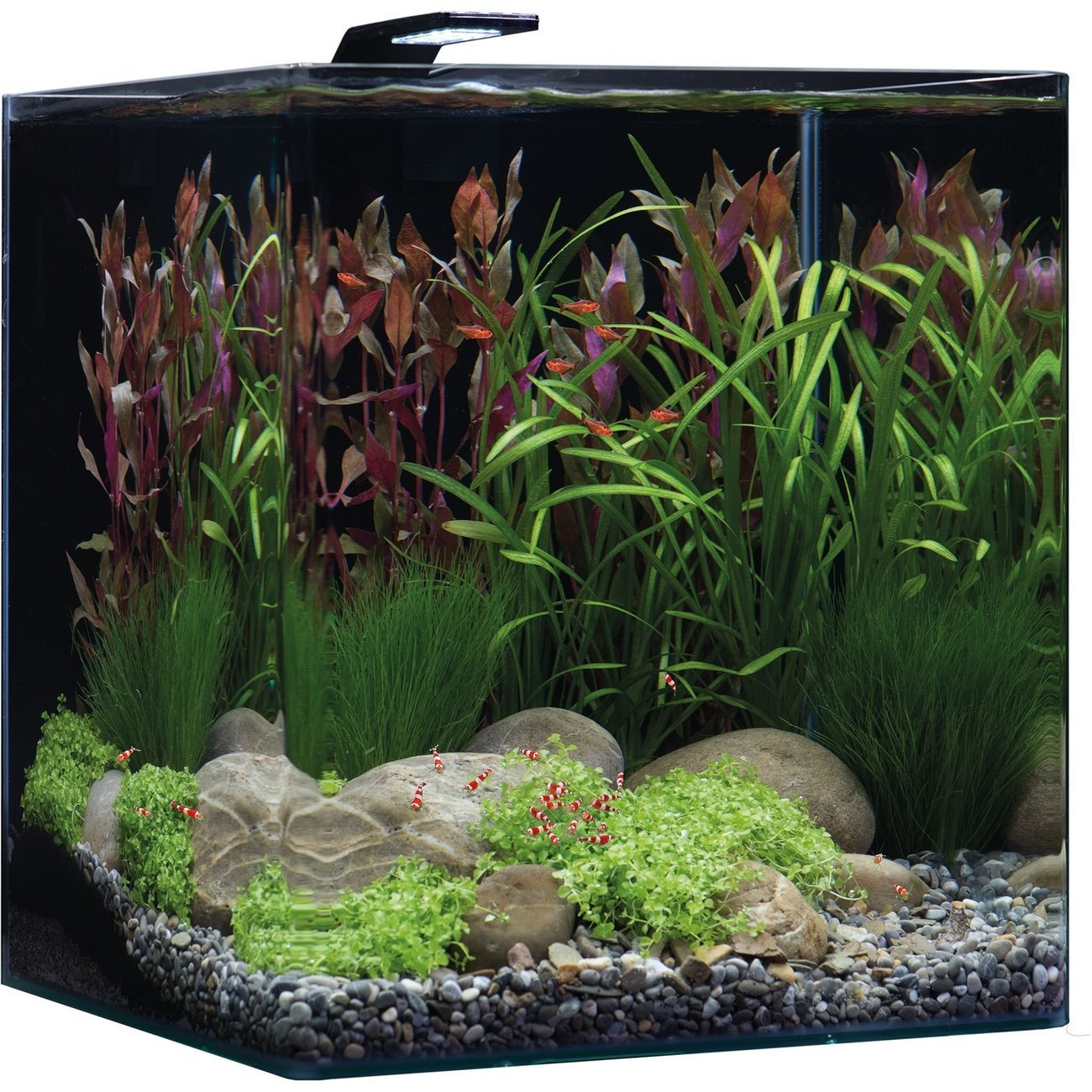 Dennerle NanoCube Basic Style LED Aquarium Bild 8