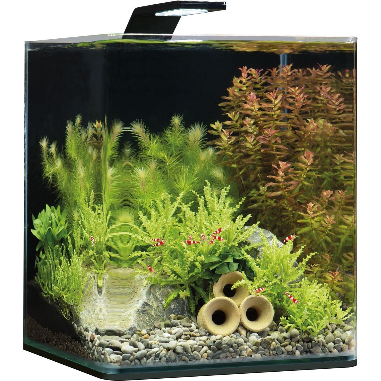 Dennerle NanoCube Basic Style LED Aquarium Bild 2