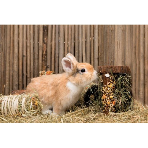 Natur-Snack Holzturm mit Heufüllung Bild 2