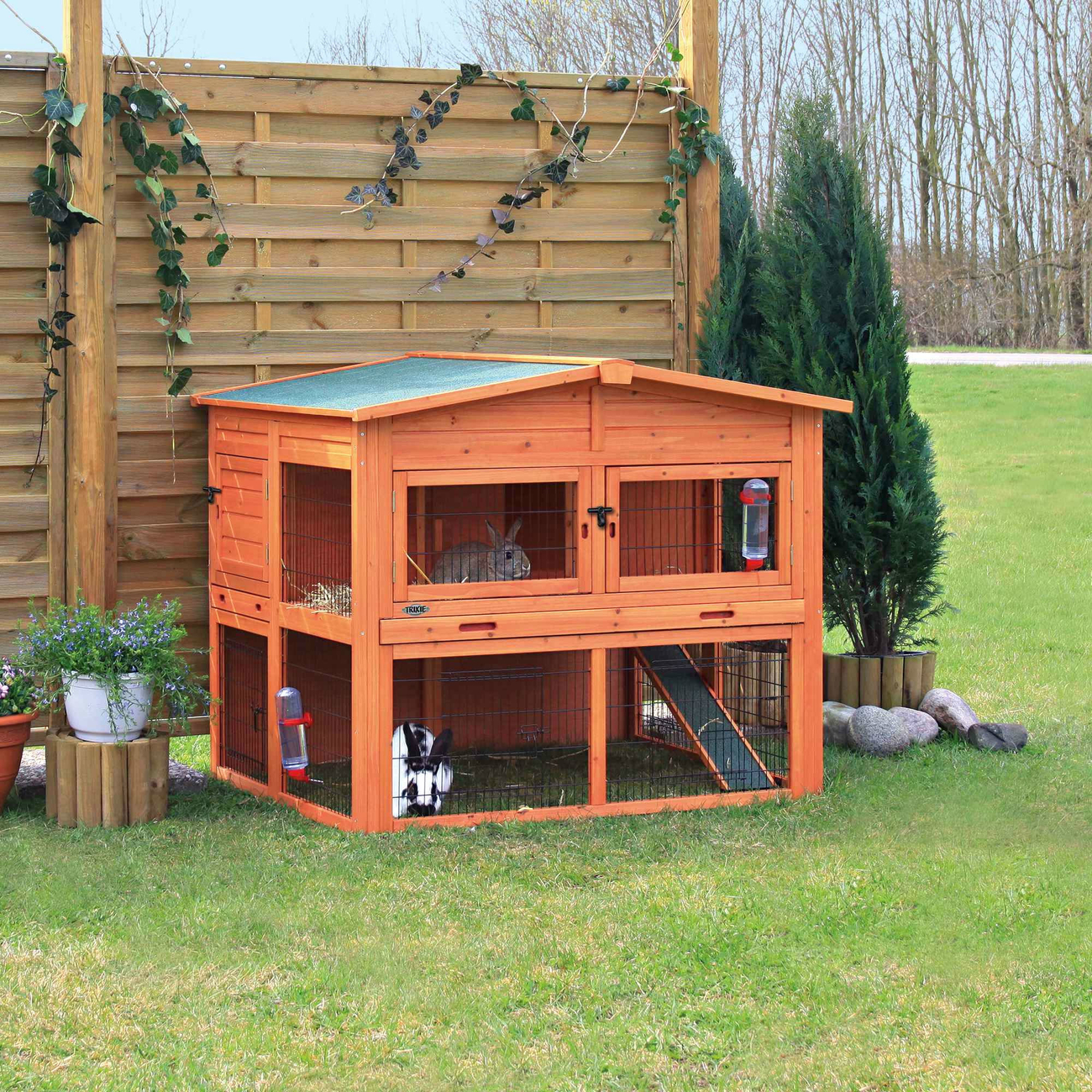 Kaninchenstall XL mit Freilaufgehege Bild 3