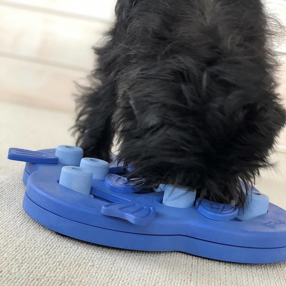 Nina Ottosson Dog Hide'n'Slide Hundespiel Bild 3