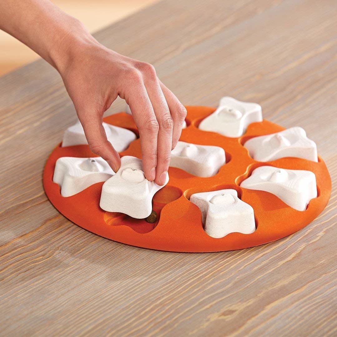 Nina Ottosson Dog Smart Hundespielzeug Plastik Bild 4