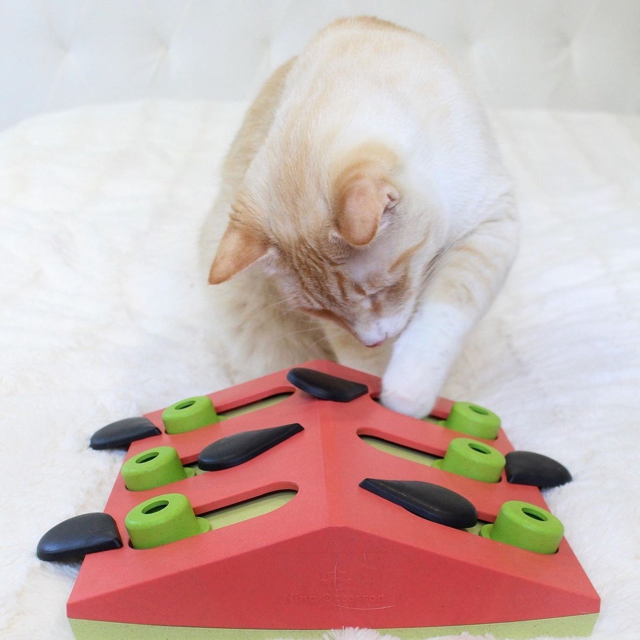Katzen Puzzle Melon Madness Bild 2