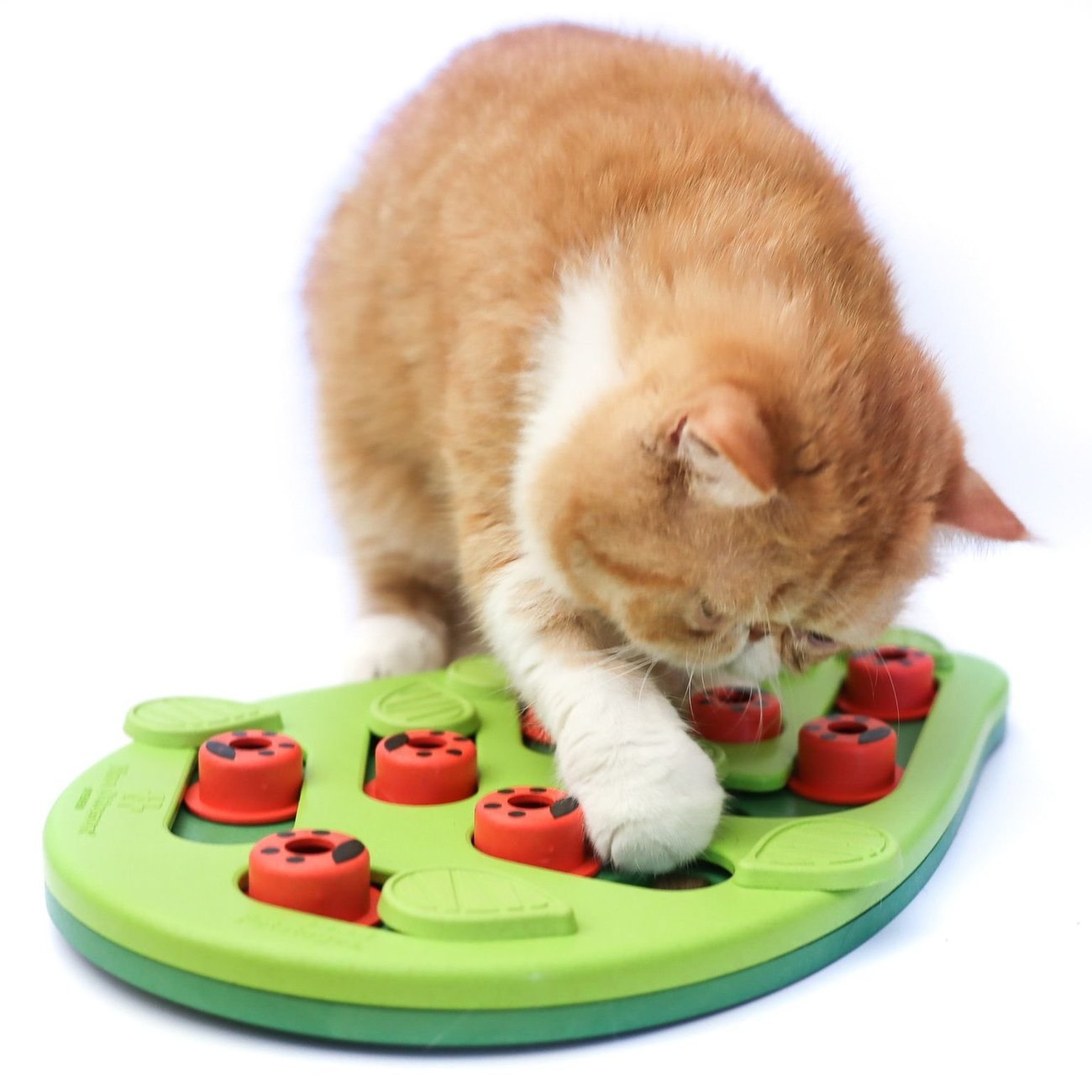 Katzen Snackspielzeug Blatt Bild 2