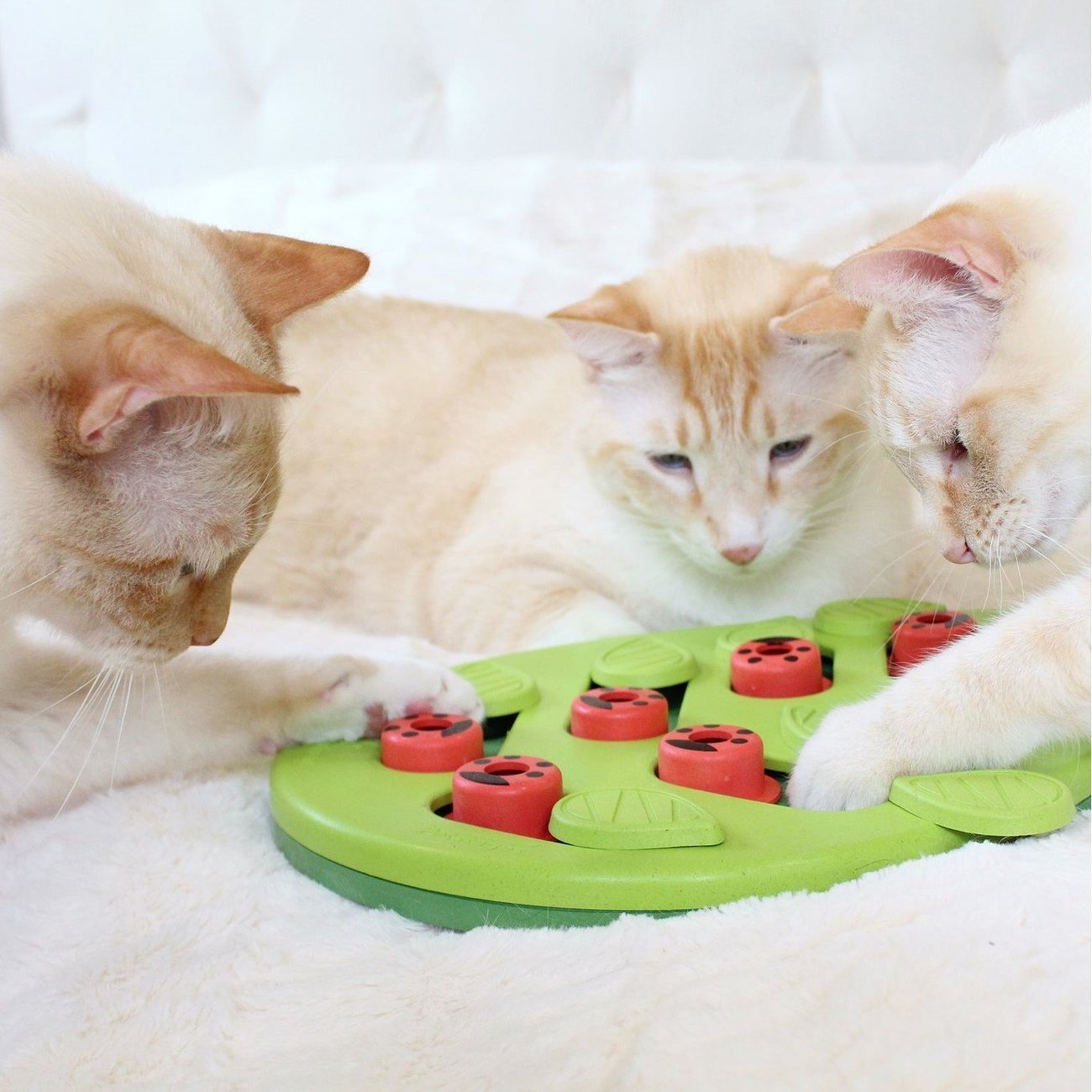 Katzen Snackspielzeug Blatt Bild 3
