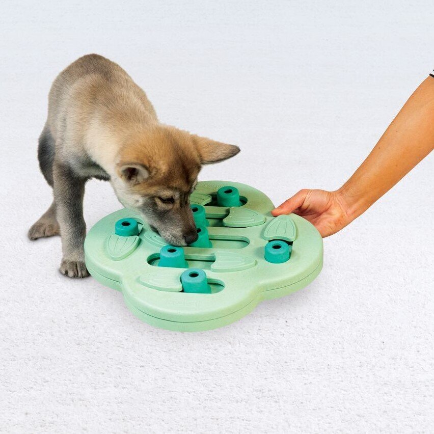 Puppy Hide N' Slide Hundestrategiespiel Bild 3