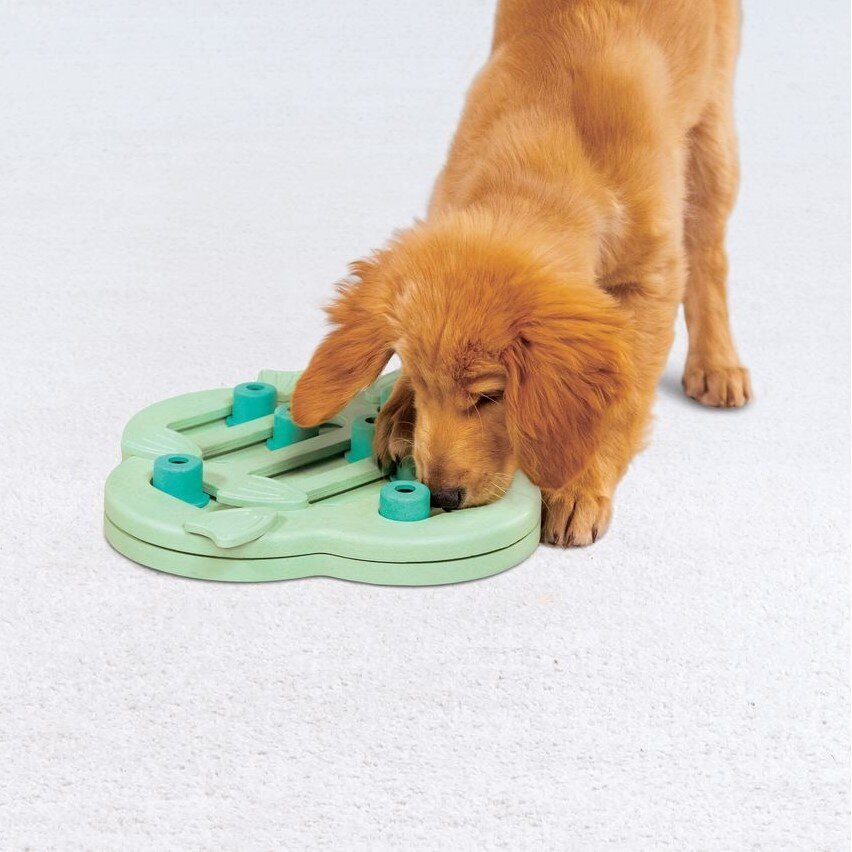 Puppy Hide N' Slide Hundestrategiespiel Bild 2