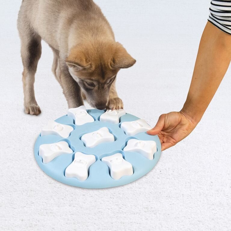 Puppy Smart Welpen Intelligenzspielzeug Bild 5