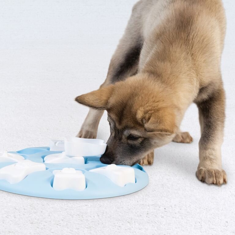 Puppy Smart Welpen Intelligenzspielzeug Bild 2