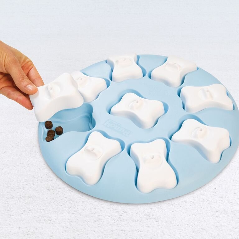 Puppy Smart Welpen Intelligenzspielzeug Bild 4