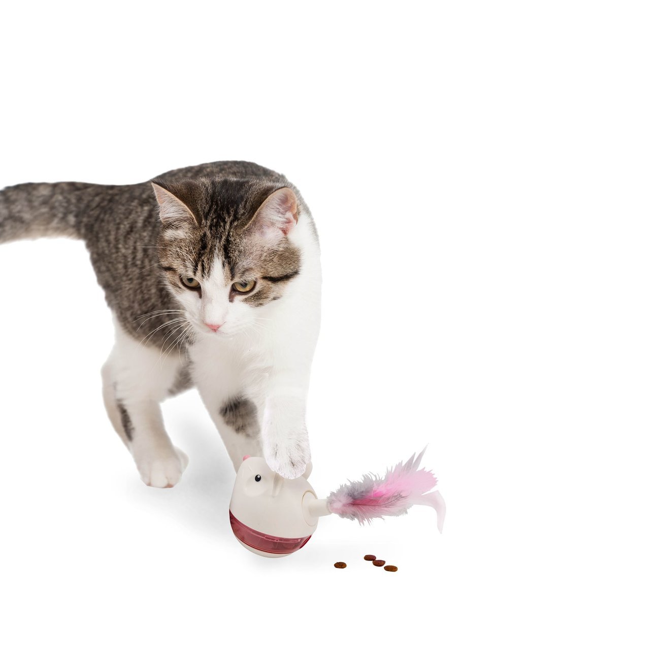 Snackspielzeug Maus mit Federn Bild 7