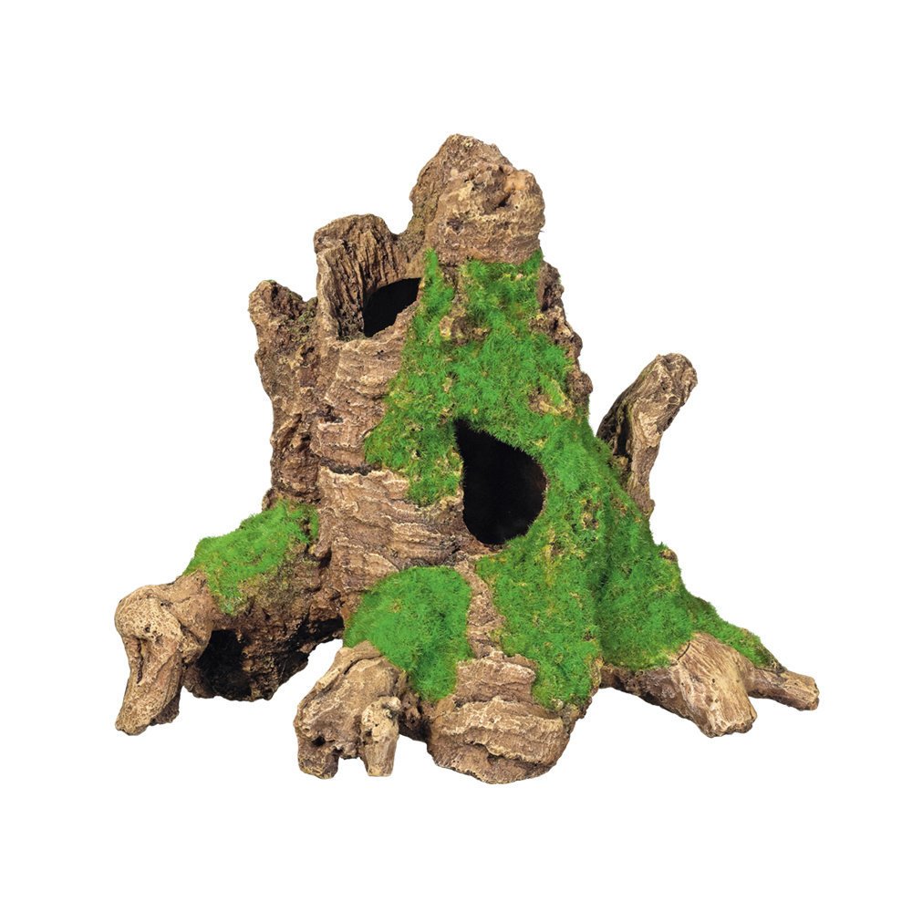 Baumstamm mit Moos Bild 1