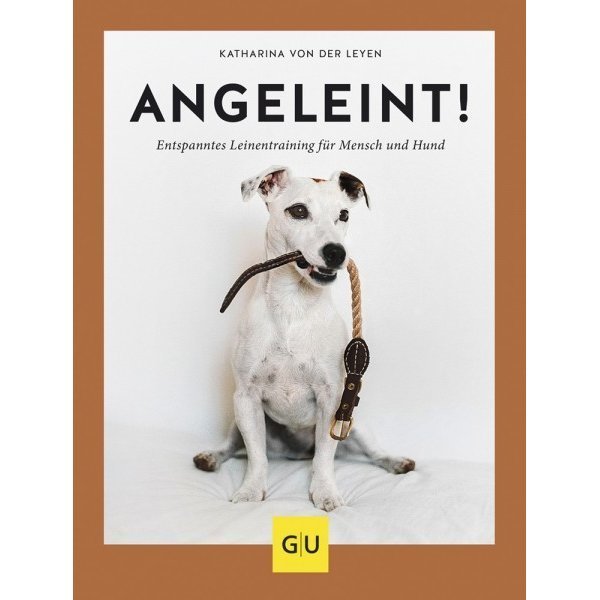 Ratgeber Angeleint! Bild 1