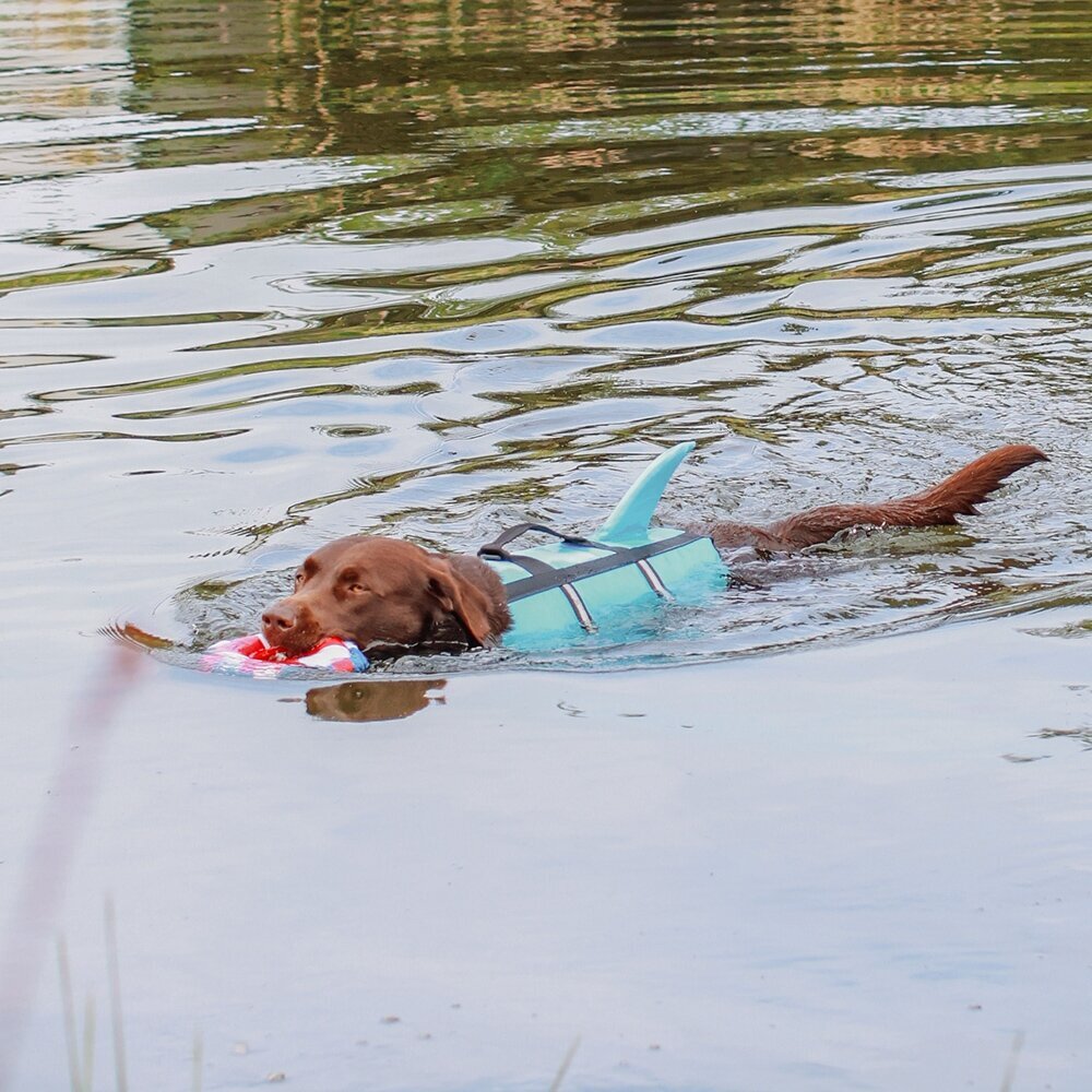 Hunde Schwimmweste Sharki mit Haifischflossen Bild 6