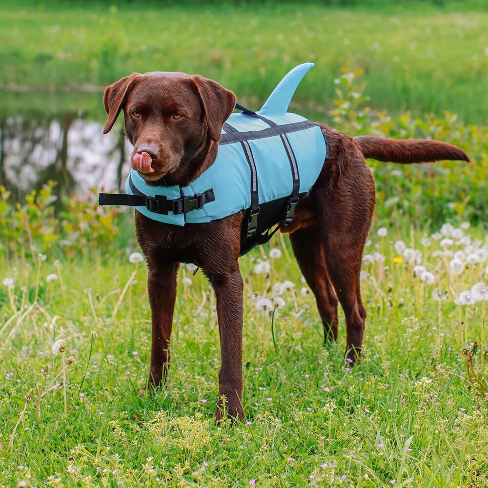 Hunde Schwimmweste Sharki mit Haifischflossen Bild 7