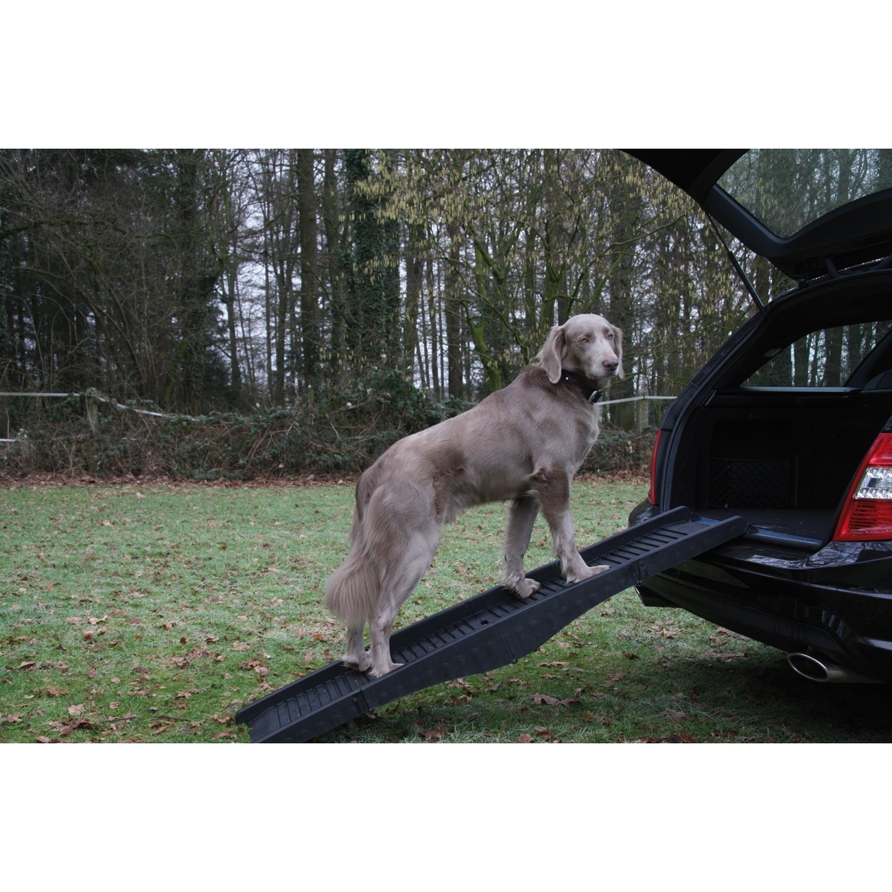 Nobby Hunderampe Kunststoff Bild 2