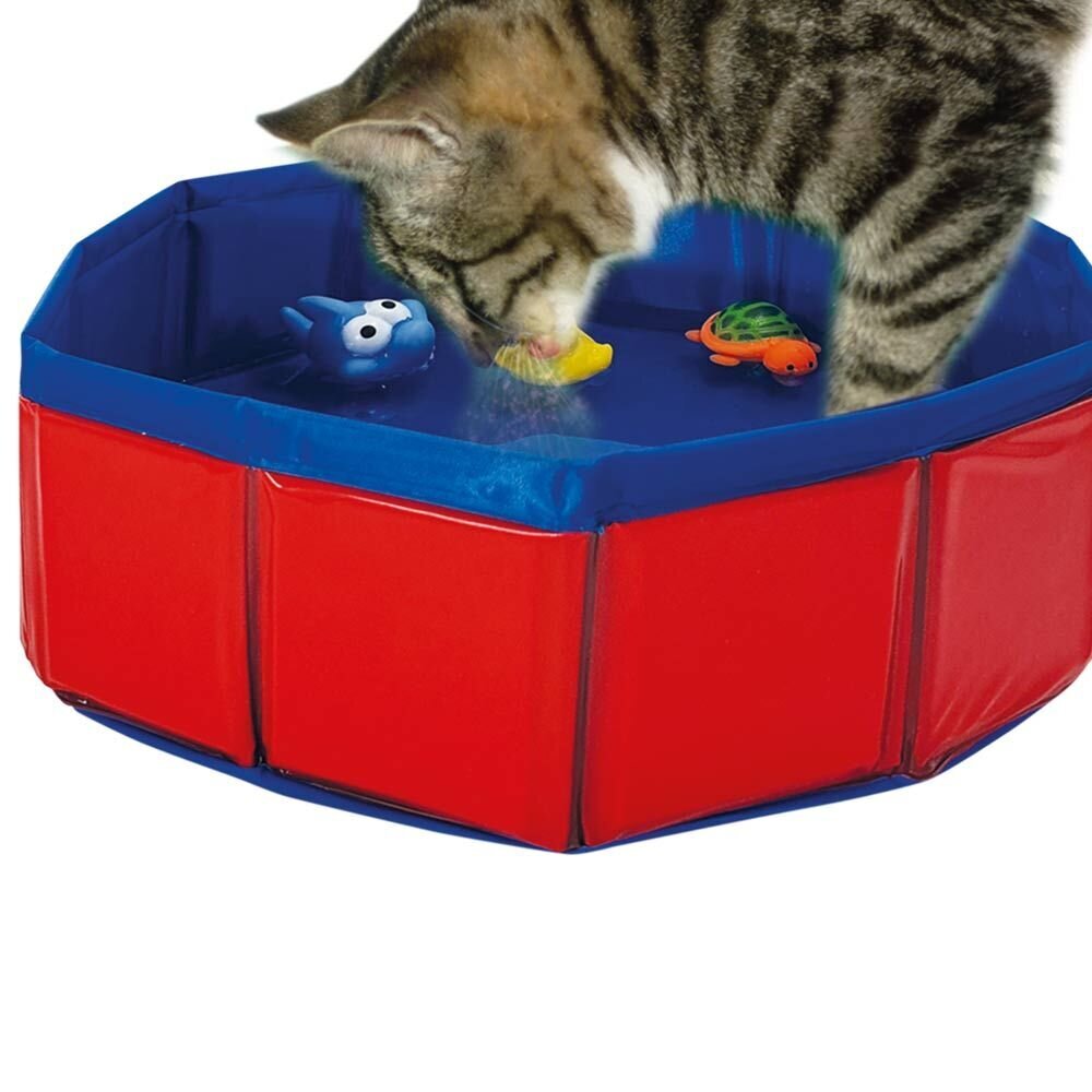 Katzenpool mit Spielzeug Bild 2