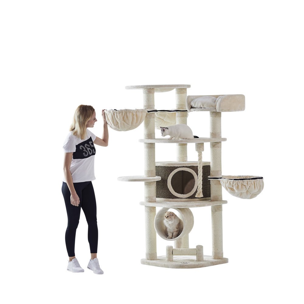 Nobby Kratzbaum Elif Bild 2