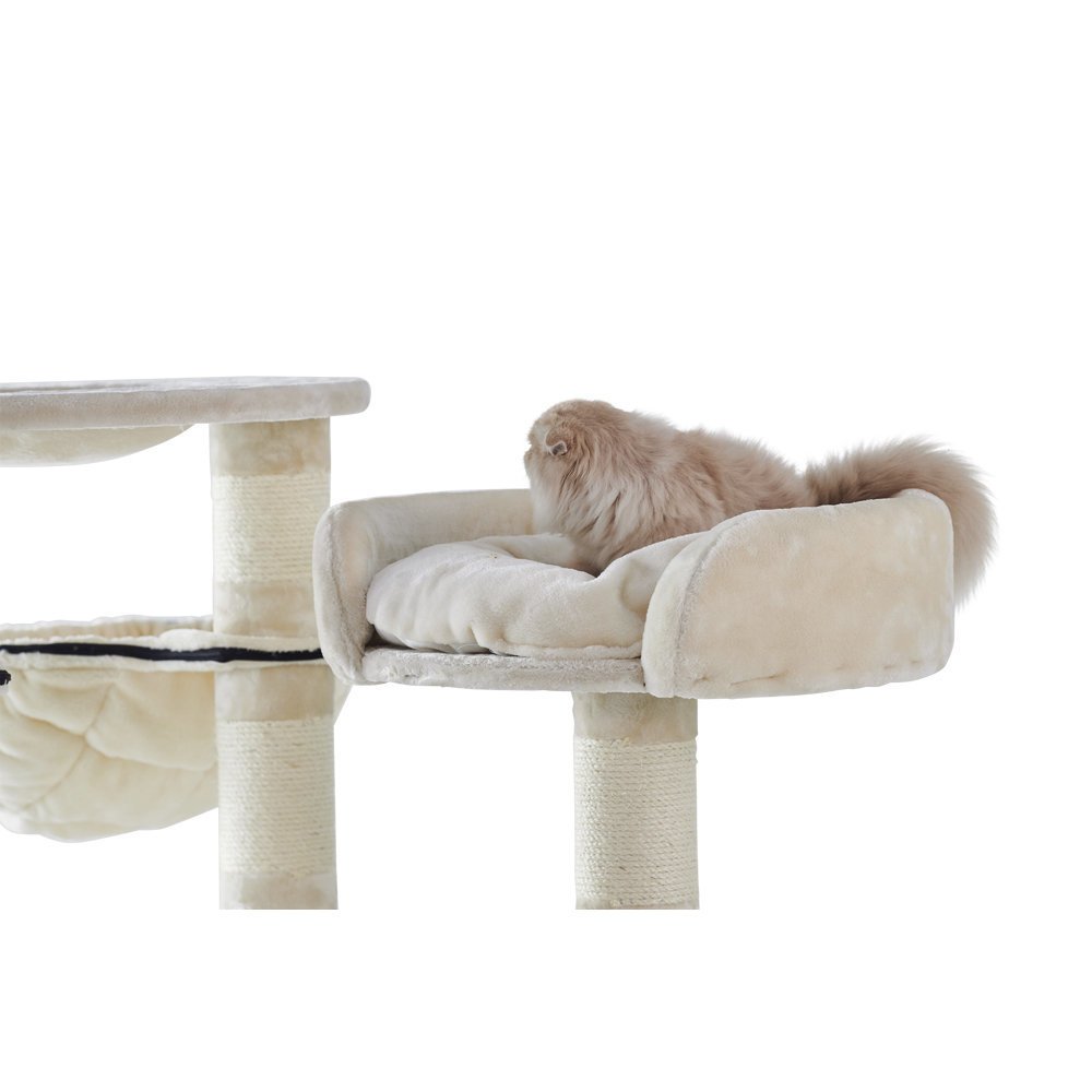 Nobby Kratzbaum Elif Bild 3