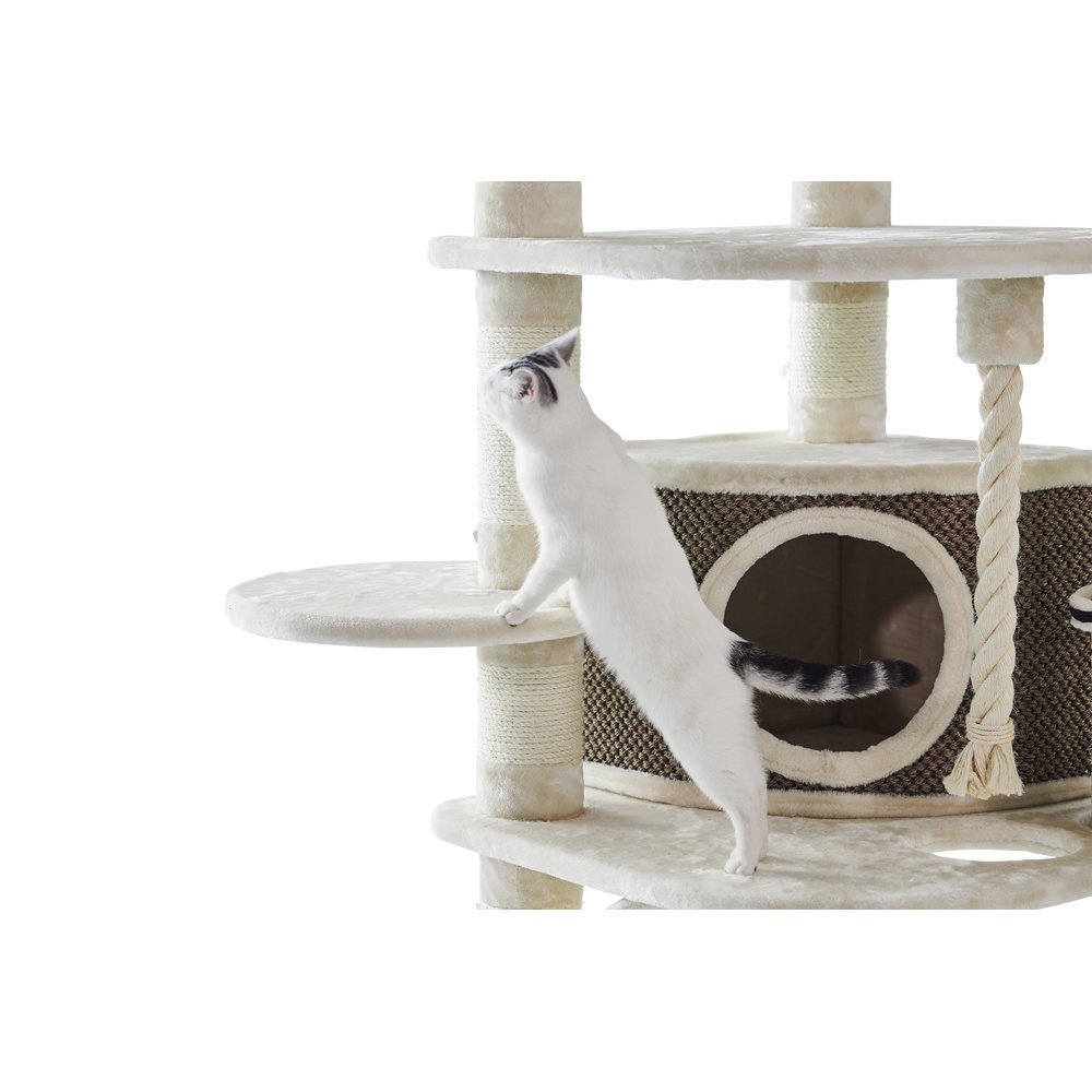 Nobby Kratzbaum Elif Bild 5